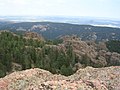 View from the top of the Devil's Head Lookout. Pike National Forest is in the foreground, while the city of Denver is in the distance.