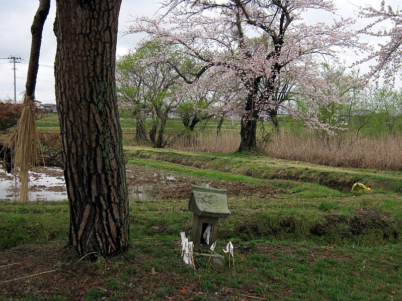 File:大谷地池の祠 - panoramio.jpg