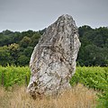 Vignette pour la version du 25 septembre 2017 à 14:47