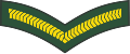 Lance corporal (Barbados Regiment)[27]