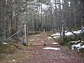 Image 53Forest in the Scottish Highlands (from Forest)