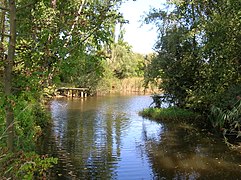 L'étang de Haute-Jarrie.