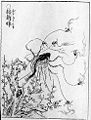 Le jorōgumo (絡新?) signifie « araignée prostituée » mais le nom est écrit avec des caractères qui signifient « mariée entrelaçante ».