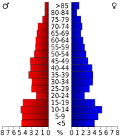 Bevolkingspiramide Martin County