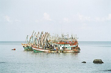 Mae Haad, Koh Tao