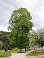 Miniatyrbilete av versjonen frå 6. mai 2014 kl. 17:23