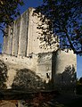 Donjon de Loches