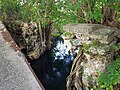 Ruines de l'ancien pont du chemin de fer sucrier de Beautiran. Le pont a été détruit en 1989 par l'Ouragan Hugo.