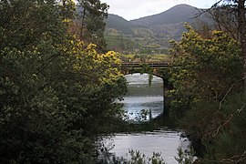 Ribadavia, Province of Ourense, Spain - panoramio (1).jpg