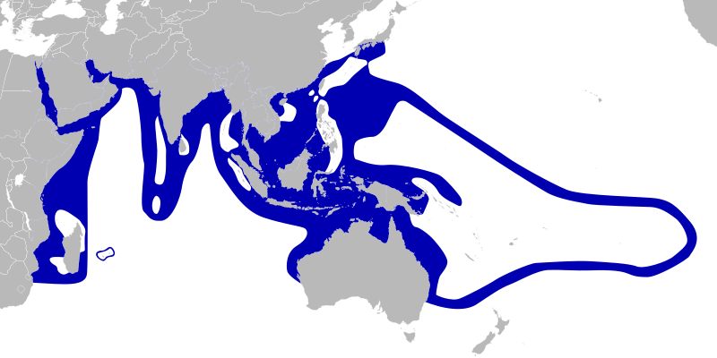 File:Amphiprioninae distribution map-blank.svg