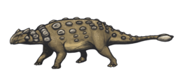 Az Ankylosaurus rekonstrukciója