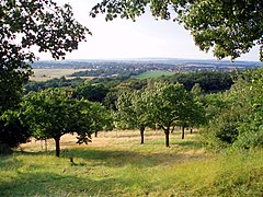 Blick auf Ermsleben.jpg