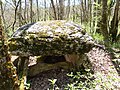 Dolmen du Devès