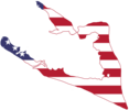 Wake Island (USA flag)