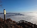 鎌倉山の雲海