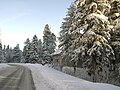 La nouvelle station de ski (l'entrée)