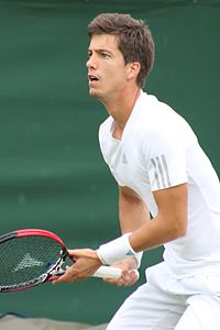 Image illustrative de l’article Aljaž Bedene