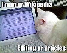 Editing ur articles