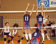 Boleibol