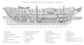 Novara, the original hull in cross-section