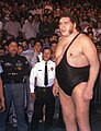 André the Giant geboren op 19 mei 1946