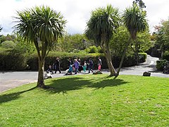 Belfast Zoo - geograph.org.uk - 1847905.jpg