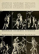 Chanticleer 1952 page 239.jpg