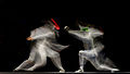 21 Final 2013 Fencing WCH FMS-EQ t194733 uploaded by Jastrow, nominated by Andrew J.Kurbiko,  19,  0,  0