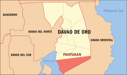 Mapa ng Davao de Oro na nagpapakita sa lokasyon ng Pantukan.