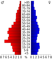 Bevolkingspiramide Noble County