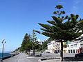 Wellington Oriental Bay Esplanade