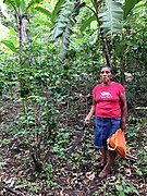 Woman coffee farmer in Nicaragua.jpg