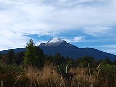 Rumbo al albergue.jpg