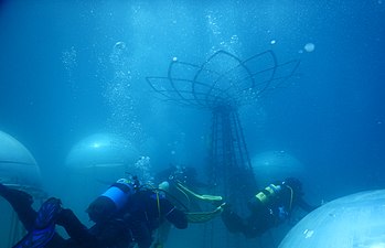 Divers entering a biosphere