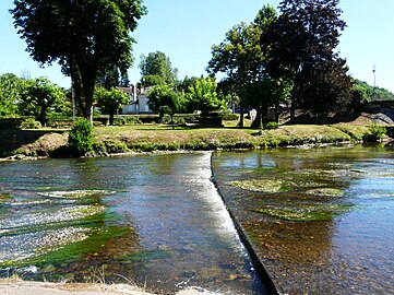 L'Auvézère à Tourtoirac.