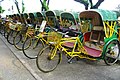 人力三輪車 Trishaw