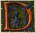 Letter D, f.81r.