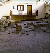 Lepidodendron fossil stumps from Fossil Grove, Glasgow, Scotland