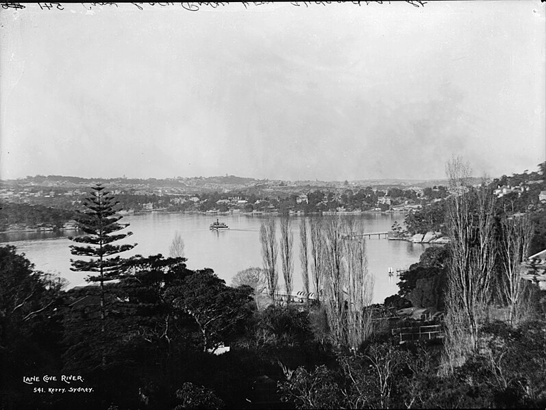 File:Lane Cove River (2447217565).jpg