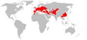 Aire de répartition de la Pipistrelle commune