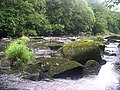 River Tamar