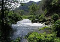 Résurgence du Rio Negro (Rioja, San Martin, Pérou).