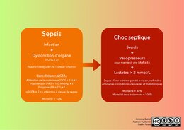 Description de l'image Sepsis & Choc septique.pdf.