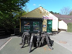 Spider, Belfast Zoo - geograph.org.uk - 1848153.jpg