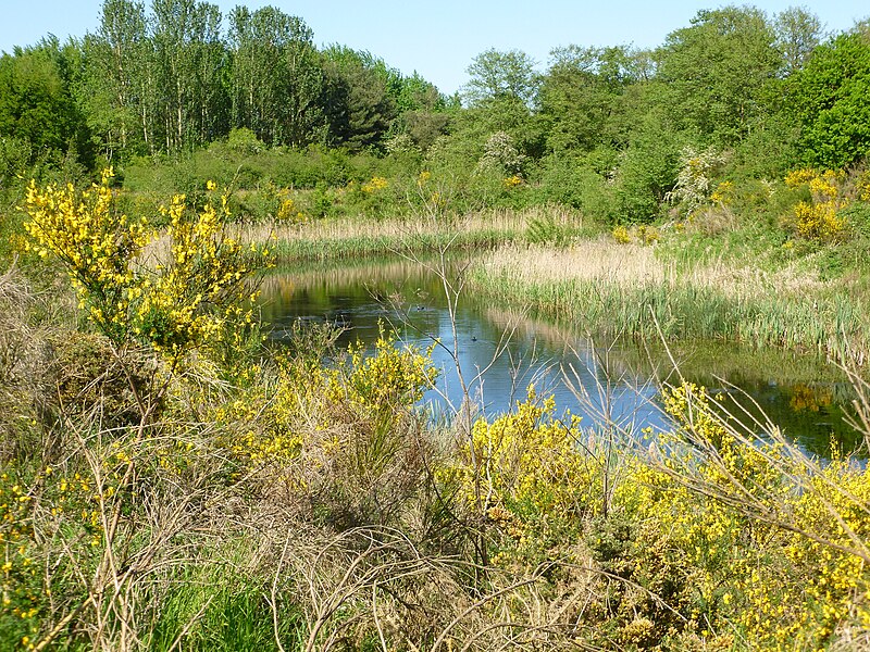 File:A more overhead look of the lake - panoramio.jpg