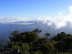 View of de Cal Madow Mountains, home to numerous endemic species