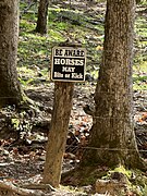 Cades Cove - October 2023 - Sarah Stierch 10.jpg