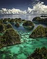 Image 81Piaynemo karst archipelago in Raja Ampat, Southwest Papua (from Tourism in Indonesia)