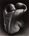 Image 25Pepper No. 30, by Edward Weston (edited by Bammesk) (from Wikipedia:Featured pictures/Artwork/Others)