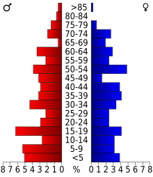 Schéma représentant la population du comté, par tranche d'âge. En rouge, à gauche, les femmes, en bleu à droite, les hommes.